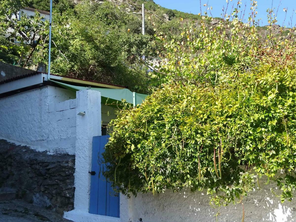 Casa Pentone Βίλα Cervione Εξωτερικό φωτογραφία