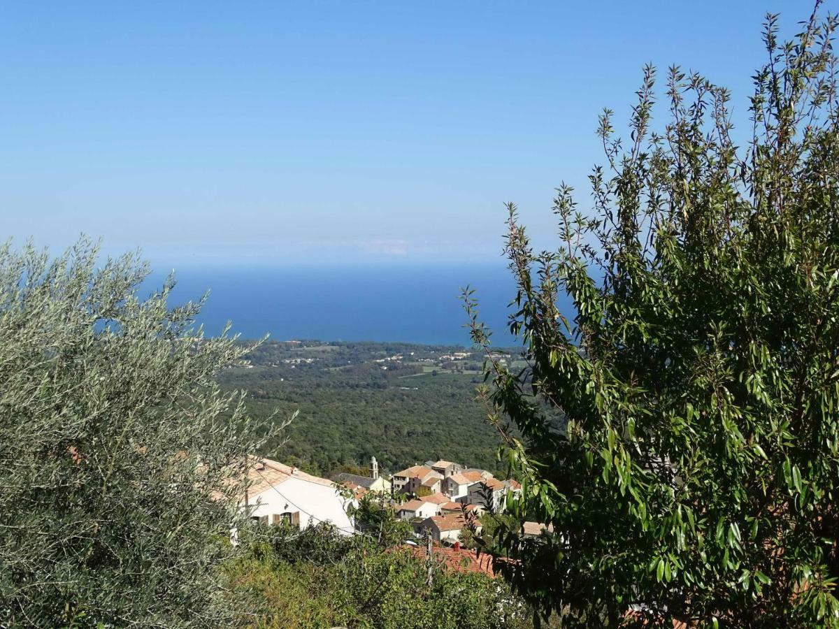 Casa Pentone Βίλα Cervione Εξωτερικό φωτογραφία